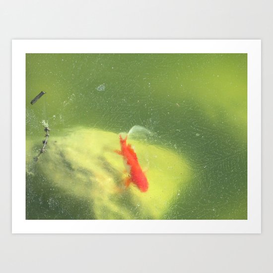 Life under the Ice Art Print