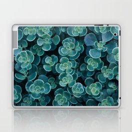 Succulents in Shades of the Sea Laptop Skin