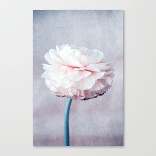 daydream Canvas Print