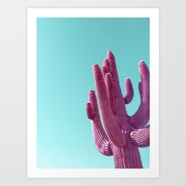 Pink Saguaro Cactus with Blue Sky Art Print