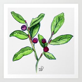 Huckleberries Art Print