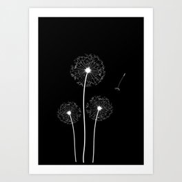 Dandelion Three White on Black Background Art Print