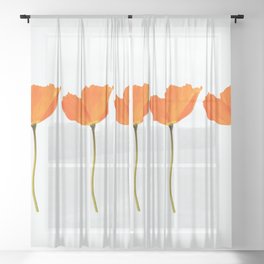 Three Orange Poppy Flowers White Background  Sheer Curtain