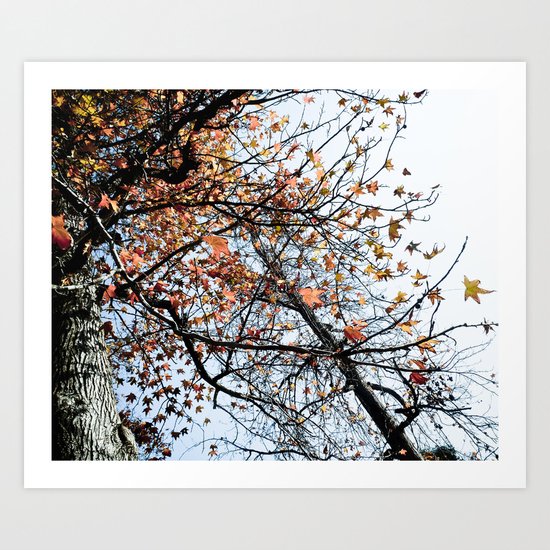 Fall II Art Print