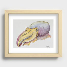 Cuttlefish Recessed Framed Print
