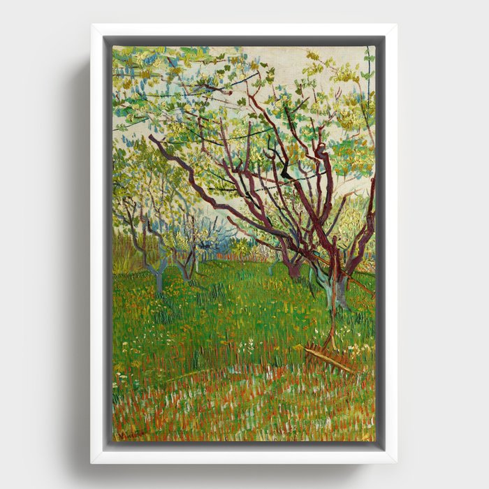Vincent van Gogh "Flowering orchard" Framed Canvas