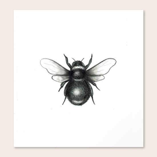 Bumblebee Canvas Print