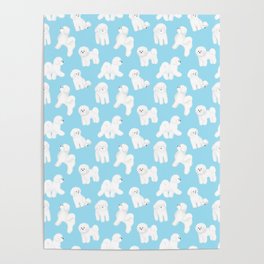 Bichon Frise Pattern (Blue Background) Poster | Dogs, Fluffy, Drawing, Frise, Bichon, Bichonfrise, Digital, Pretty, Design, Breed 