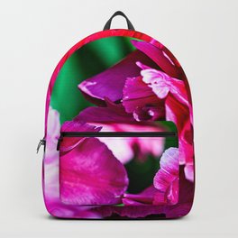 Purple Parrot Tulip In Spring Backpack