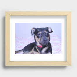 doggo Recessed Framed Print
