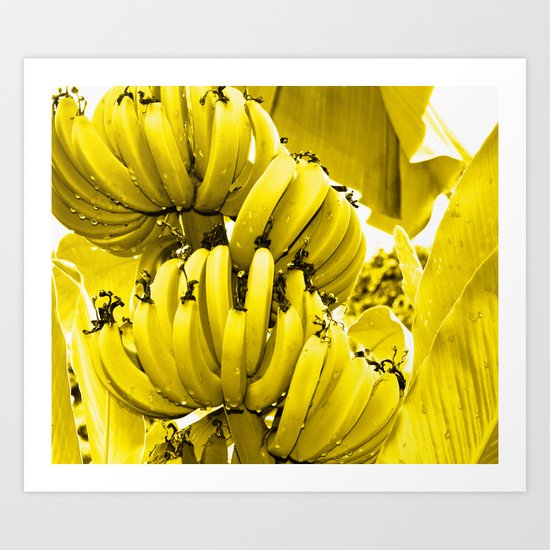 More Bananas Art Print
