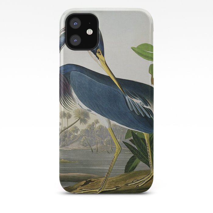 John James Audubon Louisiana Heron Painting Iphone Case By