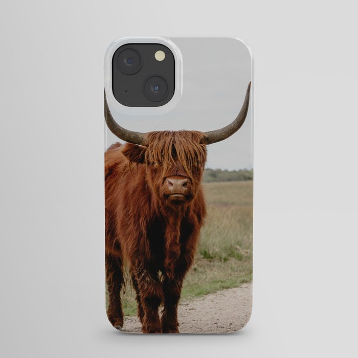 Highland Cow in nature | Scottish Highlanders, cattle in the Netherlands | Wild animals | Fine art travel and nature photography art print iPhone Case