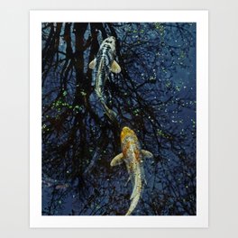 Koi floating in the branches  Art Print