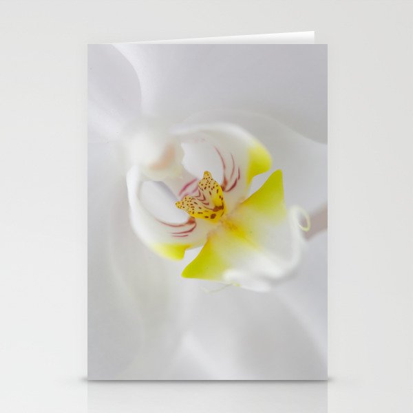 Orchid V Stationery Cards