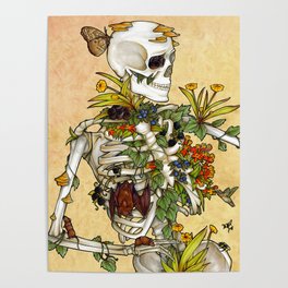Bones and Botany Poster