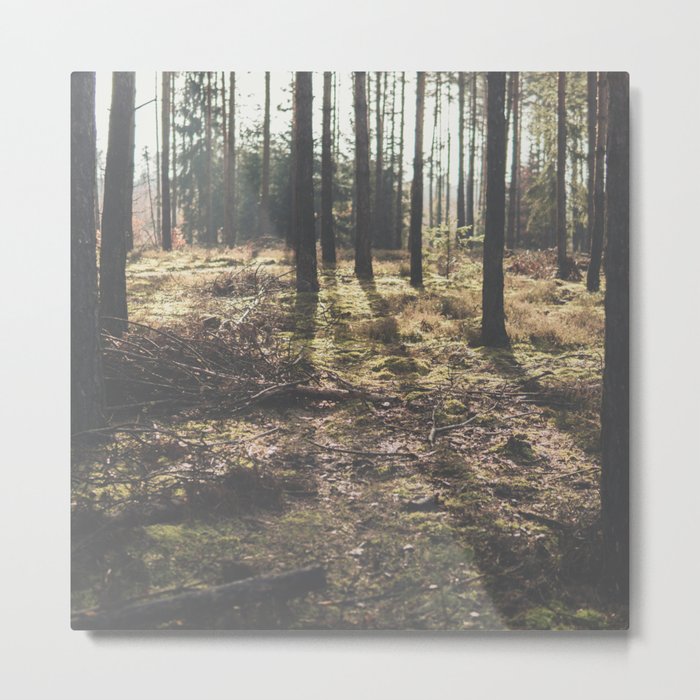 Sunrise in the forest Metal Print