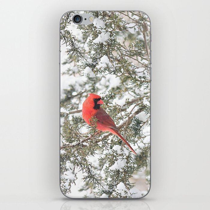 Cardinal on a Snowy Cedar Branch (sq) iPhone Skin