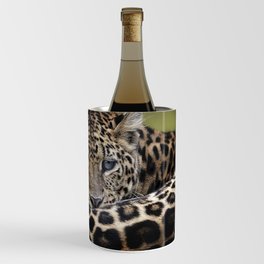 leopard big cat lying down face Wine Chiller