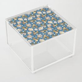 Stardust Roller Disco      Acrylic Box