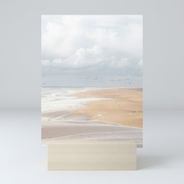 Nazaré Beach Photo | Seagulls by the Coast in Portugal Art Print | Pastel Color Travel Photography in Europe Mini Art Print