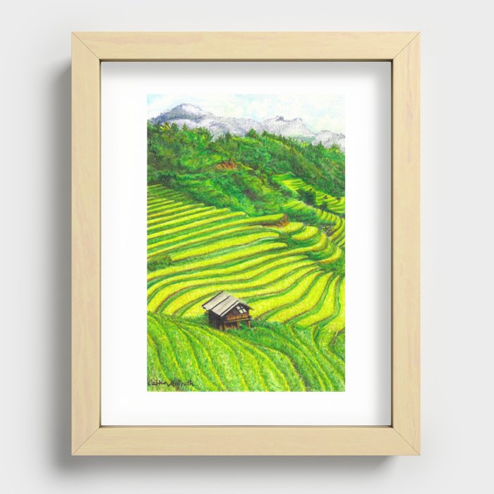 Vietnam Rice Fields Illustration Recessed Framed Print