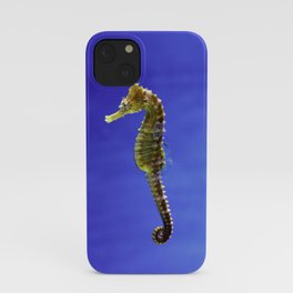 The Darling Seahorse iPhone Case
