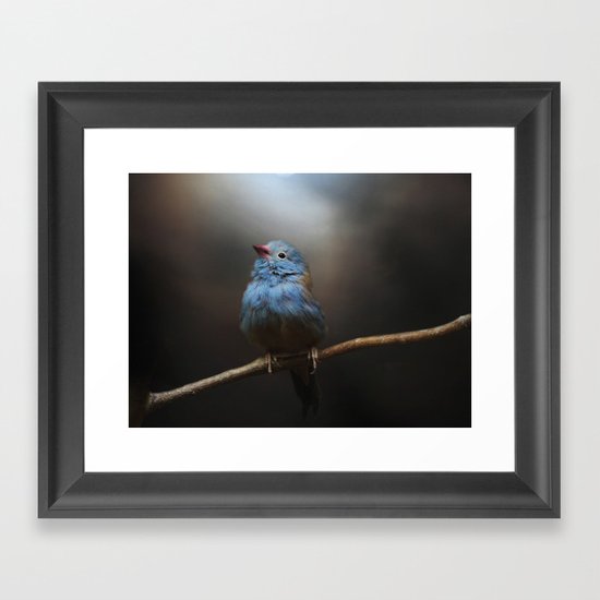 I Believe! Framed Art Print