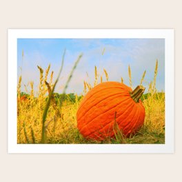 Pumpkin Solitude Art Print