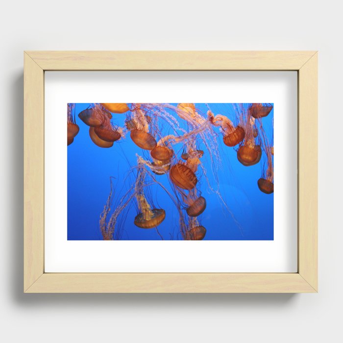 It's a Jelly World Recessed Framed Print