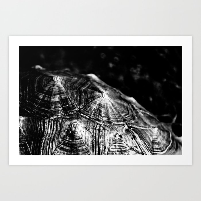 Your Pain Is The Breaking Of The Shell That Encloses Your Understanding Khalil Gibran Art Print By Monicacebolinha Society6