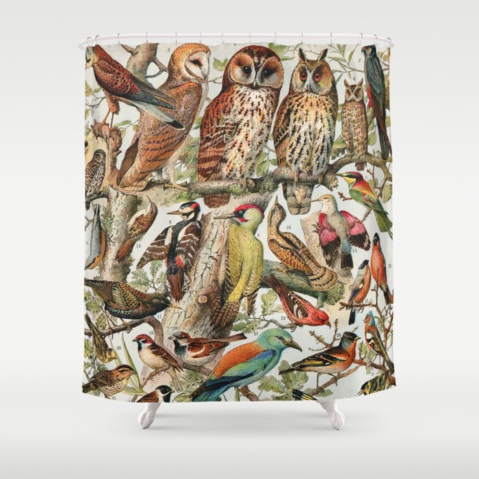 Adolphe Millot - Oiseaux espèces utiles 02 - French vintage ornithology poster Shower Curtain