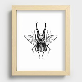beetle Recessed Framed Print