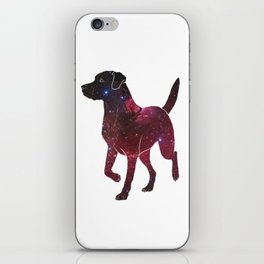 Space Labrador iPhone Skin