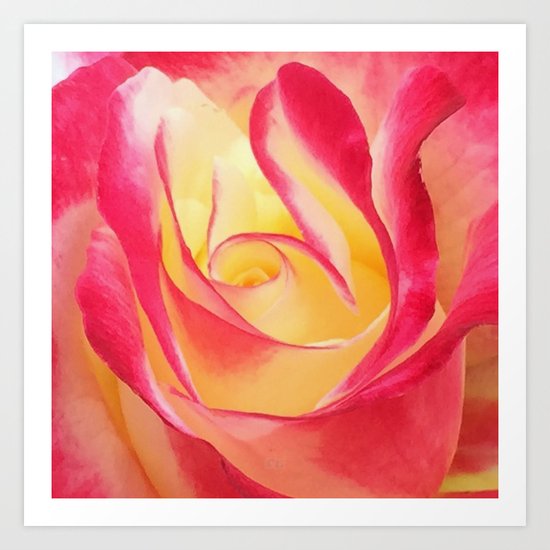 Summer Rose Untouched Art Print