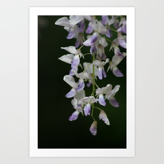 Delicate Art Print