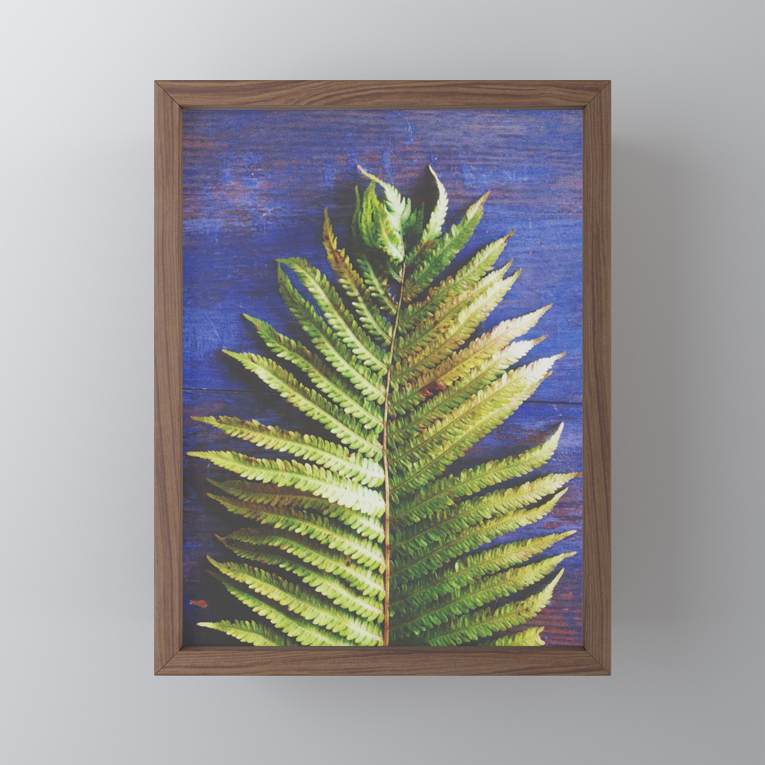 Fern Framed Mini Art Print By Joystclaire Society6