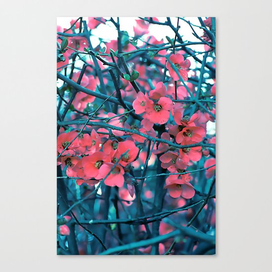 Floral abstract(61) Canvas Print