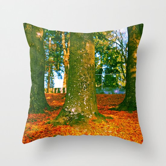Autumn beauty Throw Pillow