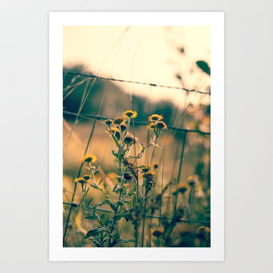 Shine Art Print