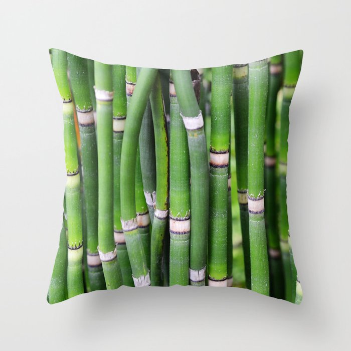 Bamboo Green Lines Stripes Reed Stalk Throw Pillow