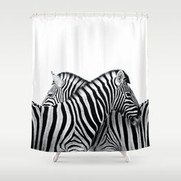 Zebras Shower Curtain