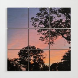 Sunset in Pink Wood Wall Art