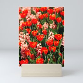 Red Tulips and Pink Hyacinth Mini Art Print