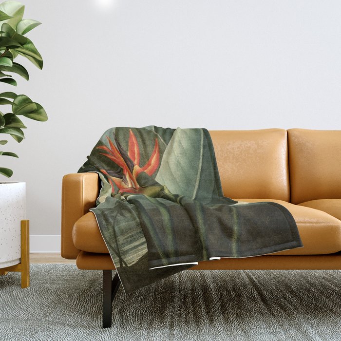 Birds of Paradise : Temple of Flora Throw Blanket