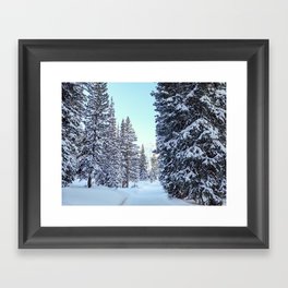 Path Through Snow Covered Trees Framed Art Print