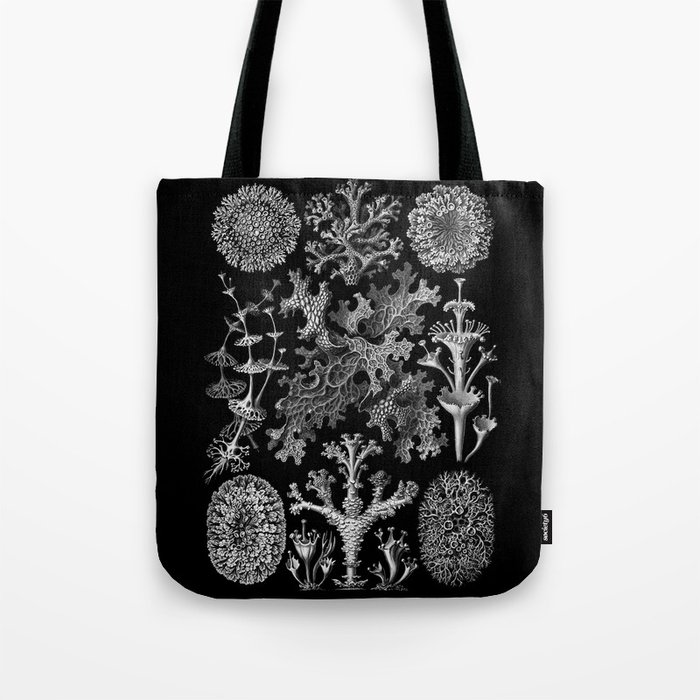 Lichens(Lichenes) by Ernst Haeckel Tote Bag