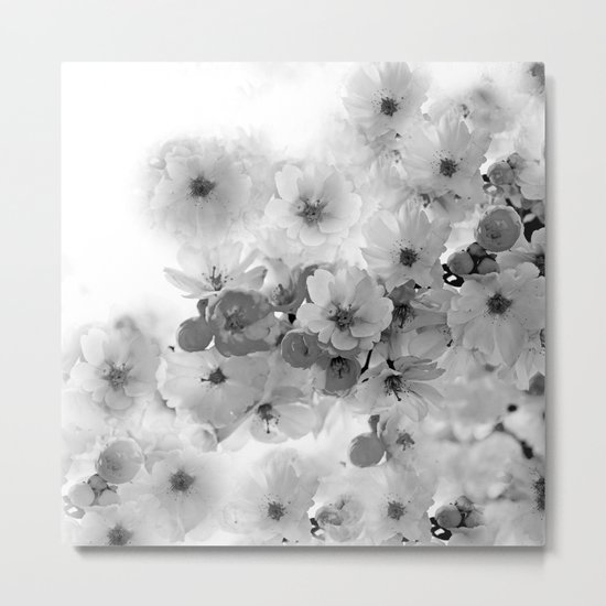 CHERRY BLOSSOMS Metal Print