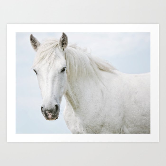 Pale Horse Art Print