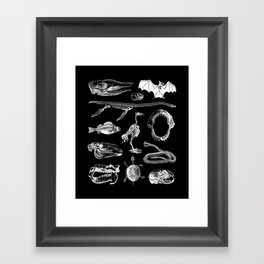 Animal Bones Black & White Framed Art Print